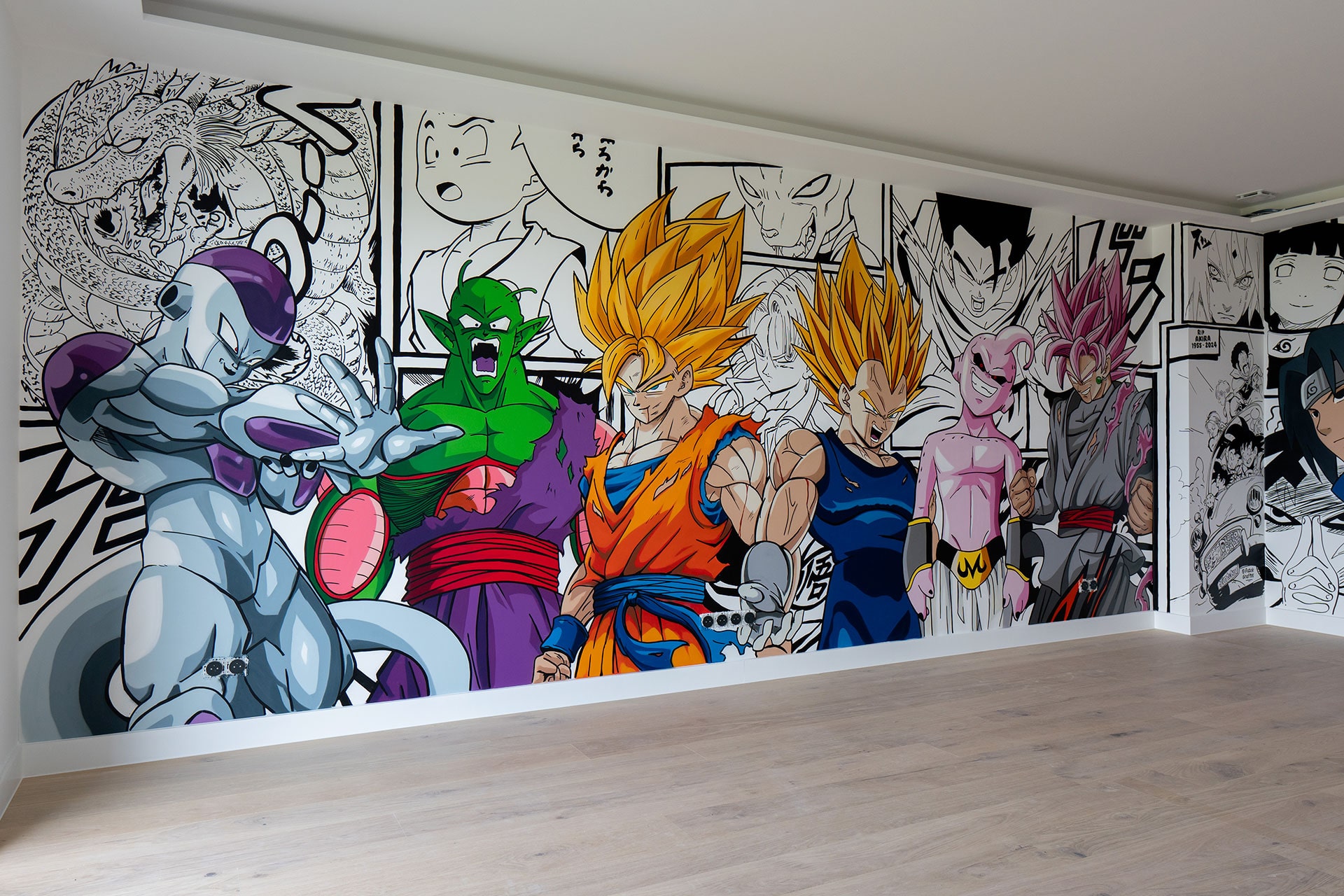 fresque-murale-dbz-pozek-graffiti